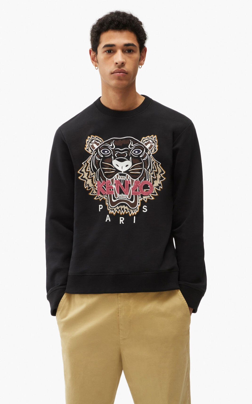 Kenzo Tiger Sweatshirt Erkek Siyah | 0174-VBFQI
